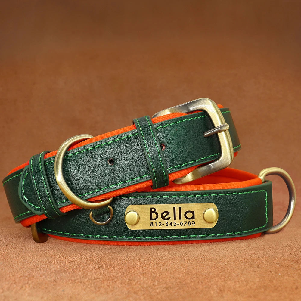 Personalized Leather Collar - Green / XL - Doggy Adorer