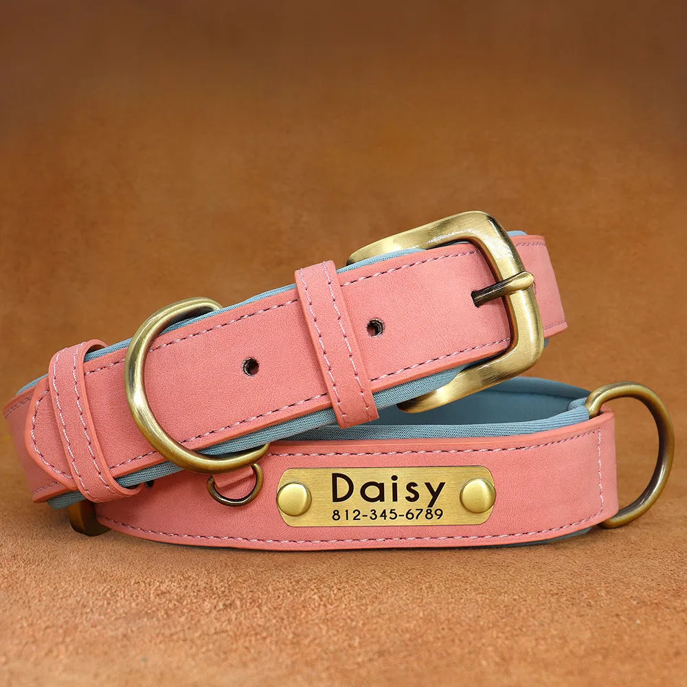 Personalized Leather Collar - Pink / XS - Doggy Adorer