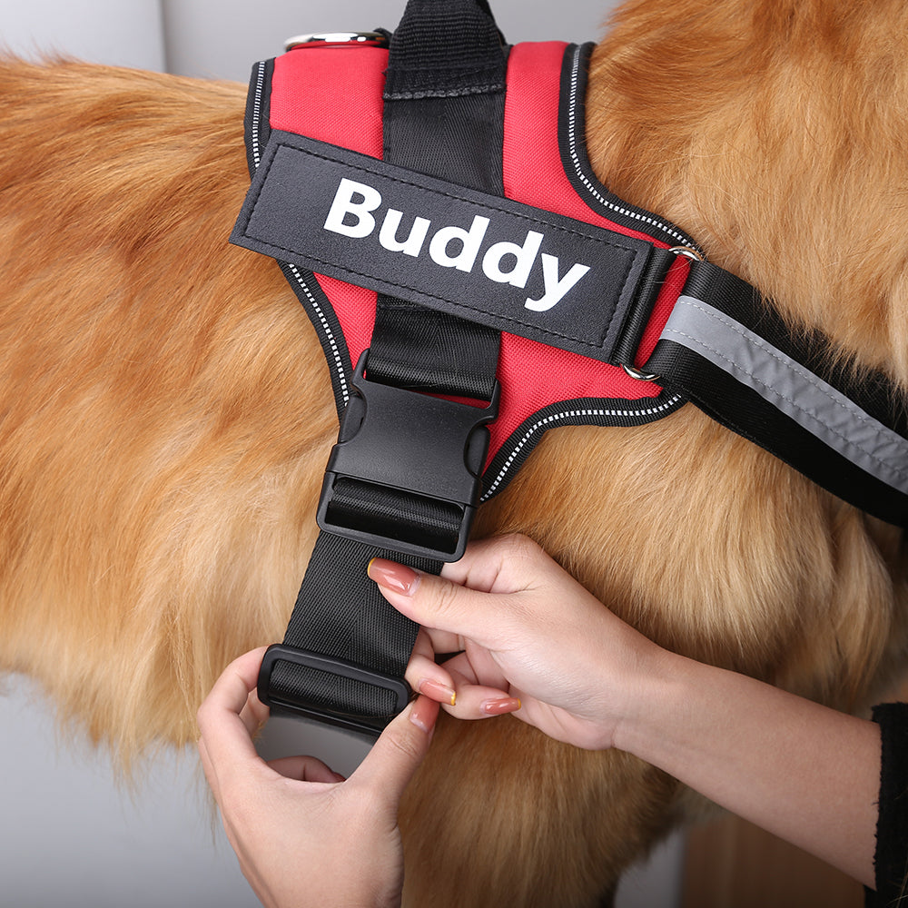 Personalized Dog Harness - Doggy Adorer