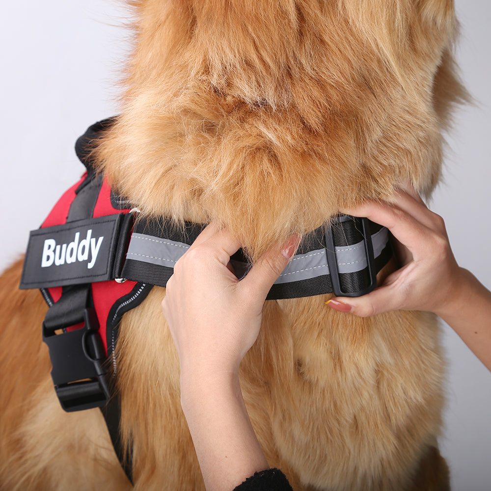 Personalized Dog Harness - Doggy Adorer