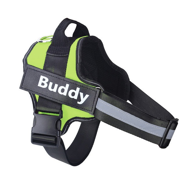 Personalized Dog Harness - Green / XS - Doggy Adorer